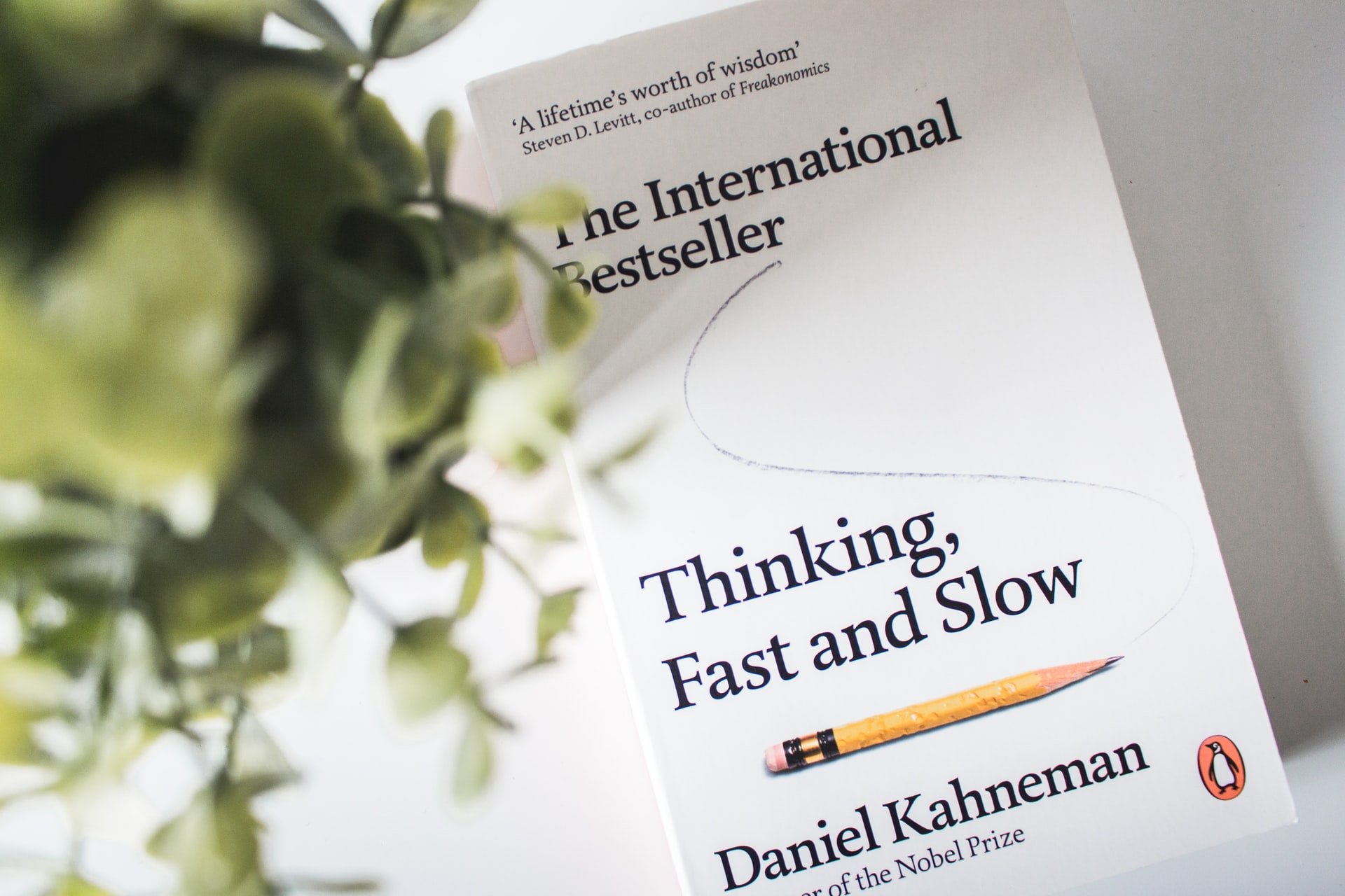 Kahneman's Book